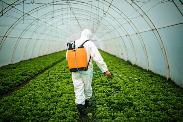 Best Affordable Pest Control Services  in Nags Head, NC