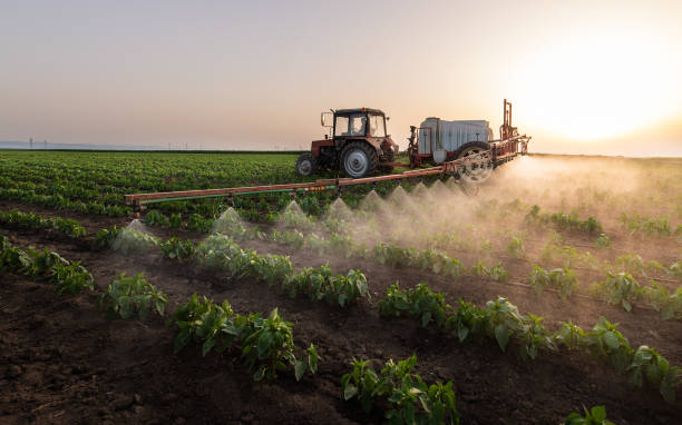 Best Mosquito Control Services  in Nags Head, NC