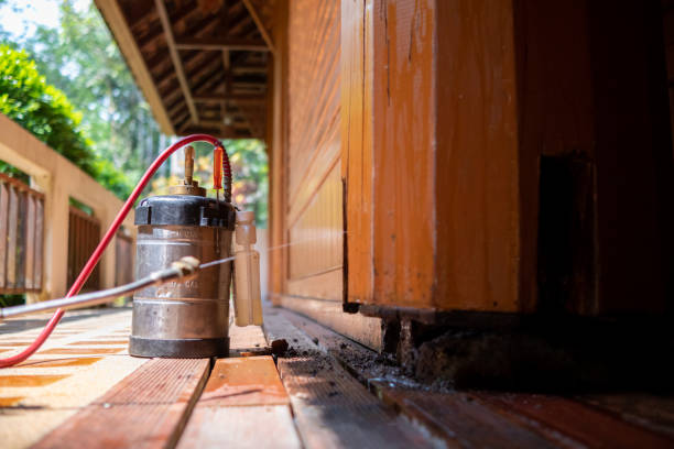 Best Ant Control Services  in Nags Head, NC